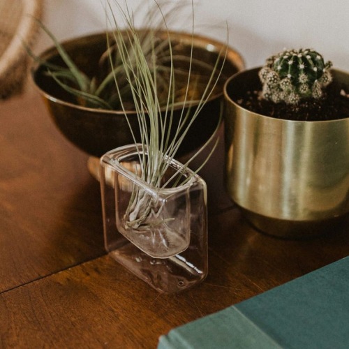 a table with plants and a book on top